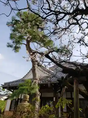永心寺の自然