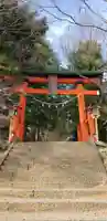 新倉富士浅間神社の鳥居