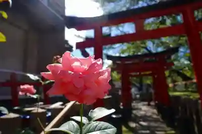 六孫王神社のその他建物