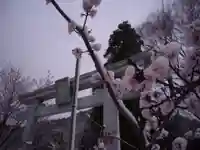 示現神社の鳥居