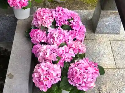 曼荼羅寺(香川県)