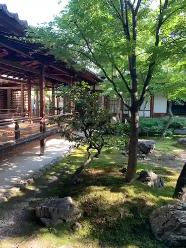 建仁寺（建仁禅寺）の庭園