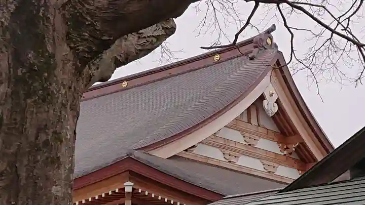 善長寺のその他建物