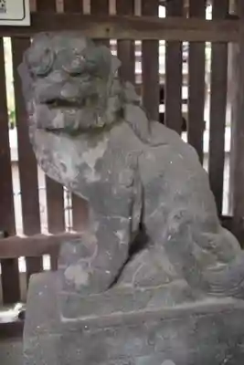 川口神社の狛犬