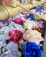 群馬県護国神社(群馬県)
