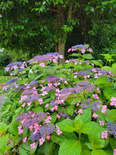 性海寺(愛知県)