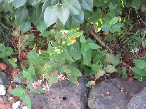 城山富士浅間神社(静岡県)