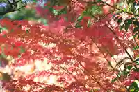 禅林寺(永観堂)(京都府)