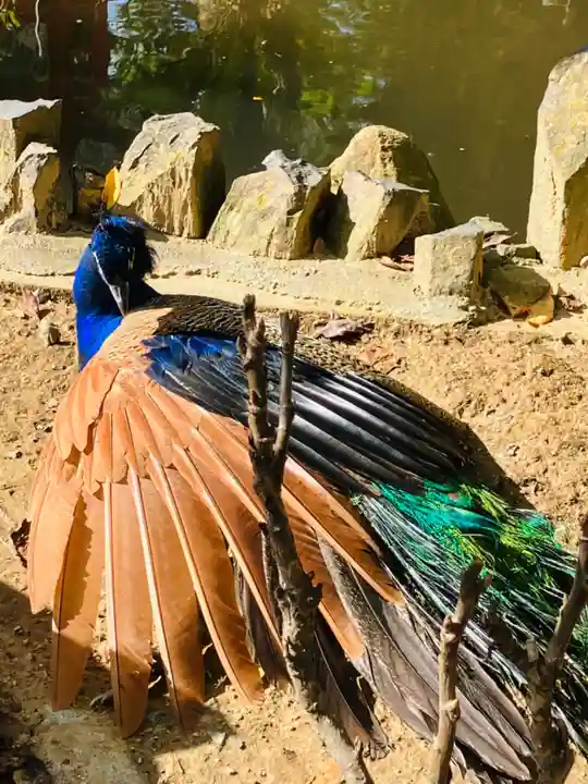 楽法寺(雨引観音)(茨城県)