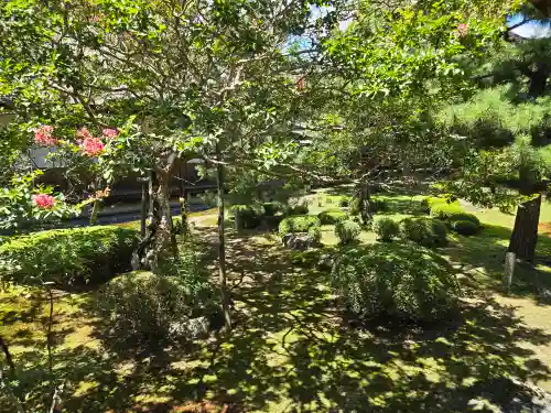 大覚寺(京都府)