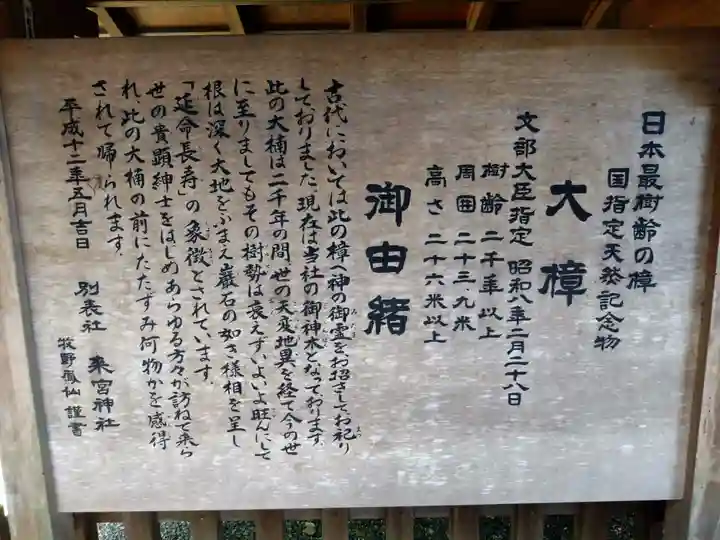 來宮神社(静岡県)