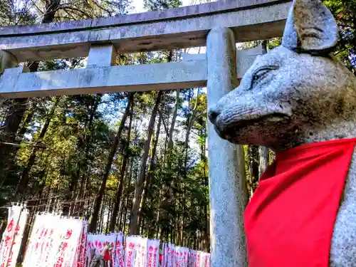 豊川閣　妙厳寺の狛犬