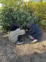 三島大神の{uncategorized: "未分類", other: "その他", undefined: "問題あり", building: "その他建物", grave: "お墓", sacred_gate: "鳥居", guardian: "狛犬", statue: "像", buddha: "仏像", history: "歴史", nature: "自然", garden: "庭園", animal: "動物", pagoda: "塔", temizu: "手水舎", mountain_gate: "山門・神門", sanctuary: "本殿・本堂", subordinate: "末社・摂社", art: "芸術", scenery: "景色", jizo: "地蔵", ema: "絵馬", goshuin: "御朱印", omikuji: "おみくじ", items: "授与品その他", amulet: "お守り", goshuincho: "御朱印帳", eats: "食事", festival: "お祭り", votive_dance: "神楽", shichigosan: "七五三参", wedding: "結婚式", experience: "体験その他", initially: "初詣", around: "周辺", anti_infection: "感染症対策"}