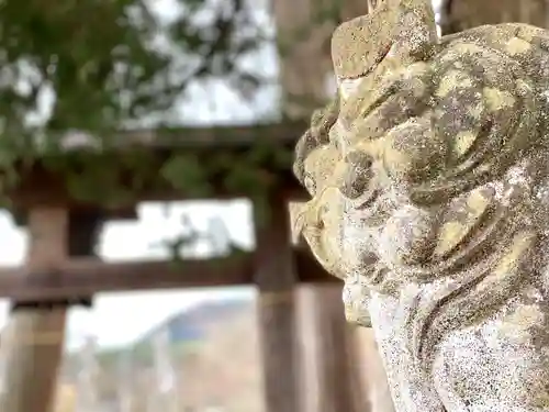 別所神社の狛犬