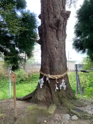 花巻神社の自然