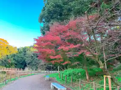橿原神宮(奈良県)
