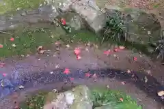 勝持寺（花の寺）(京都府)