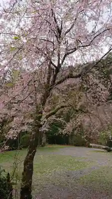 青渭神社里宮の自然