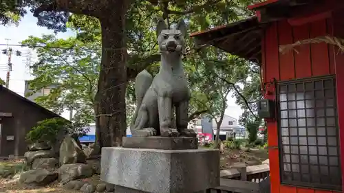 光金稲荷神社の狛犬