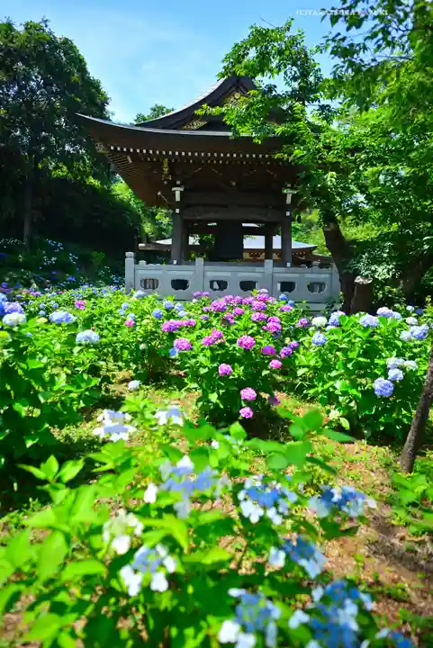 妙楽寺(神奈川県)