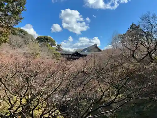 東福禅寺（東福寺）の景色