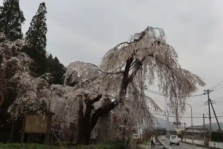 法善寺(埼玉県)