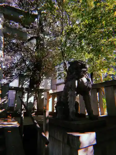 渋谷氷川神社の{uncategorized: "未分類", other: "その他", undefined: "問題あり", building: "その他建物", grave: "お墓", sacred_gate: "鳥居", guardian: "狛犬", statue: "像", buddha: "仏像", history: "歴史", nature: "自然", garden: "庭園", animal: "動物", pagoda: "塔", temizu: "手水舎", mountain_gate: "山門・神門", sanctuary: "本殿・本堂", subordinate: "末社・摂社", art: "芸術", scenery: "景色", jizo: "地蔵", ema: "絵馬", goshuin: "御朱印", omikuji: "おみくじ", items: "授与品その他", amulet: "お守り", goshuincho: "御朱印帳", eats: "食事", festival: "お祭り", votive_dance: "神楽", shichigosan: "七五三参", wedding: "結婚式", experience: "体験その他", initially: "初詣", around: "周辺", anti_infection: "感染症対策"}