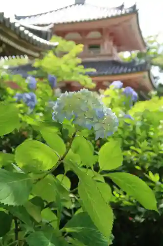 南法華寺（壷阪寺）(奈良県)