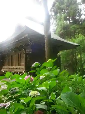 御霊神社の本殿・本堂