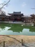 平等院(京都府)