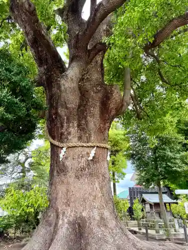 日々神社(神奈川県)