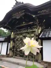 建長寺(神奈川県)