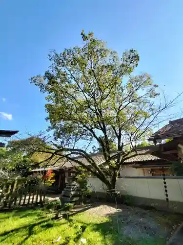忌部神社の庭園