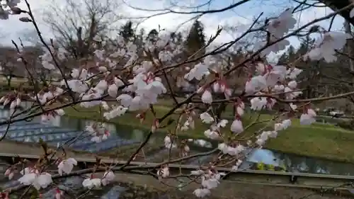 伊佐須美神社の庭園