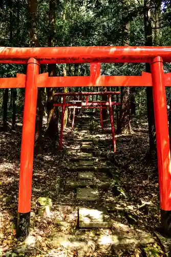 鹿児島神宮の鳥居