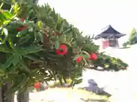 雨竜 専福寺(北海道)
