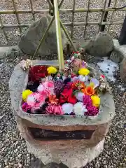 武甕槌神社(岩手県)