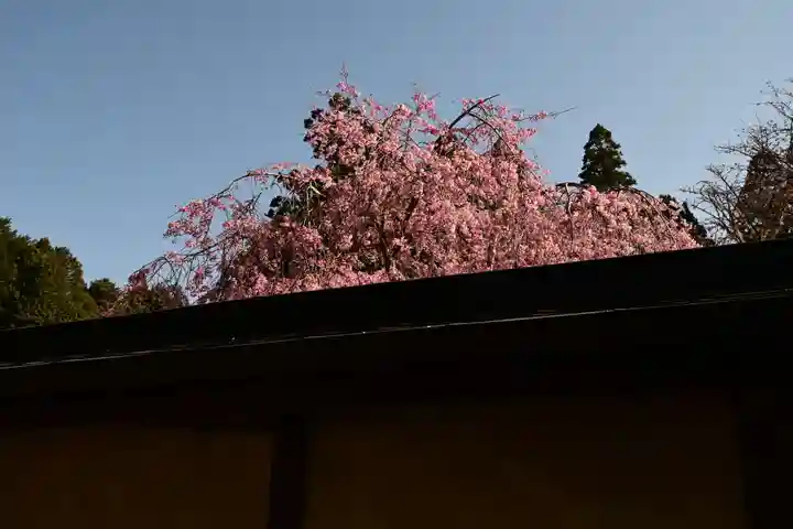 金剛三昧院(和歌山県)