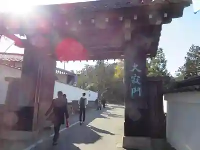 南禅寺の山門・神門