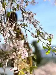 新海三社神社(長野県)