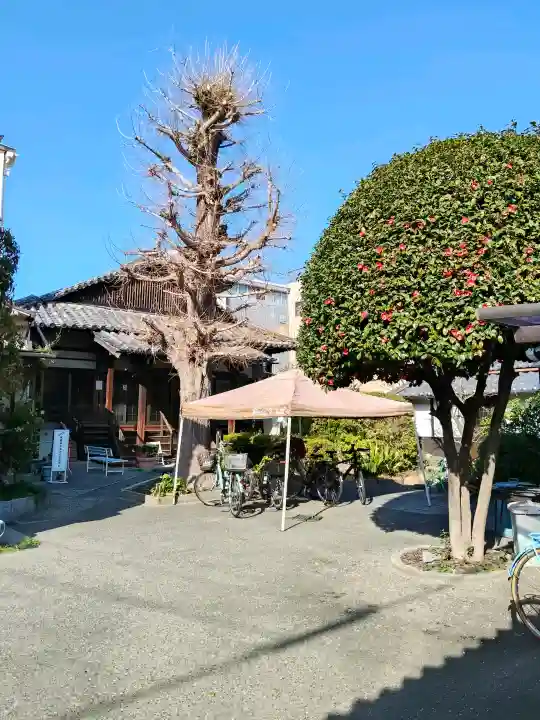 恩楽寺の{uncategorized: "未分類", other: "その他", undefined: "問題あり", building: "その他建物", grave: "お墓", sacred_gate: "鳥居", guardian: "狛犬", statue: "像", buddha: "仏像", history: "歴史", nature: "自然", garden: "庭園", animal: "動物", pagoda: "塔", temizu: "手水舎", mountain_gate: "山門・神門", sanctuary: "本殿・本堂", subordinate: "末社・摂社", art: "芸術", scenery: "景色", jizo: "地蔵", ema: "絵馬", goshuin: "御朱印", omikuji: "おみくじ", items: "授与品その他", amulet: "お守り", goshuincho: "御朱印帳", eats: "食事", festival: "お祭り", votive_dance: "神楽", shichigosan: "七五三参", wedding: "結婚式", experience: "体験その他", initially: "初詣", around: "周辺", anti_infection: "感染症対策"}