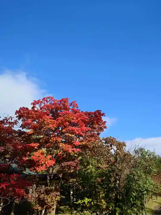 相馬神社(北海道)