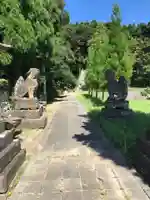 熊野神社の狛犬