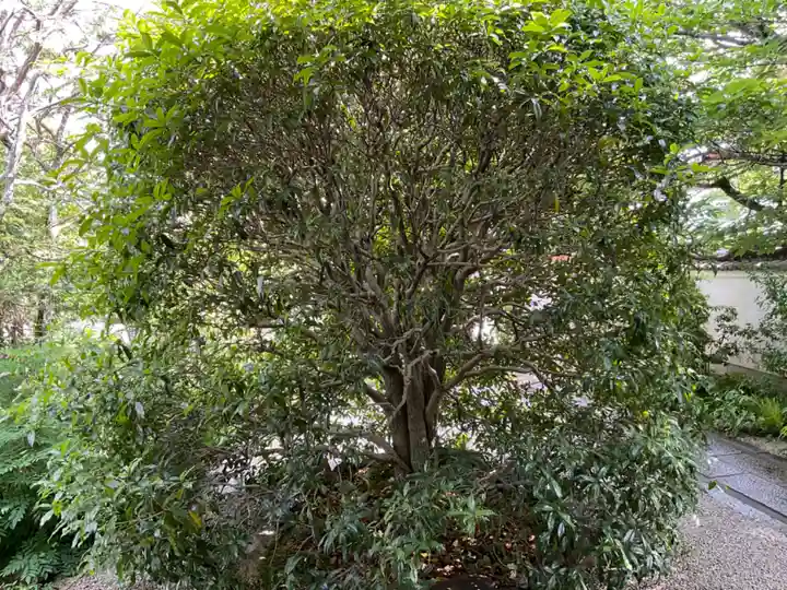 慈受院門跡(京都府)