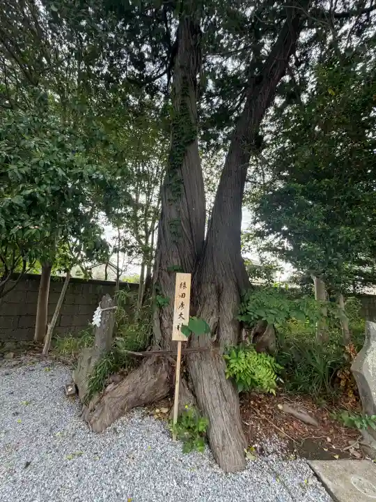 星宮神社の{uncategorized: "未分類", other: "その他", undefined: "問題あり", building: "その他建物", grave: "お墓", sacred_gate: "鳥居", guardian: "狛犬", statue: "像", buddha: "仏像", history: "歴史", nature: "自然", garden: "庭園", animal: "動物", pagoda: "塔", temizu: "手水舎", mountain_gate: "山門・神門", sanctuary: "本殿・本堂", subordinate: "末社・摂社", art: "芸術", scenery: "景色", jizo: "地蔵", ema: "絵馬", goshuin: "御朱印", omikuji: "おみくじ", items: "授与品その他", amulet: "お守り", goshuincho: "御朱印帳", eats: "食事", festival: "お祭り", votive_dance: "神楽", shichigosan: "七五三参", wedding: "結婚式", experience: "体験その他", initially: "初詣", around: "周辺", anti_infection: "感染症対策"}
