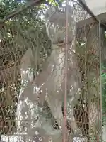 武信稲荷神社の狛犬