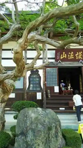 高林寺の庭園