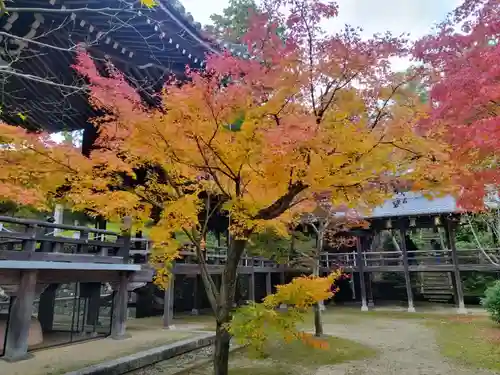 光明寺（粟生光明寺）(京都府)