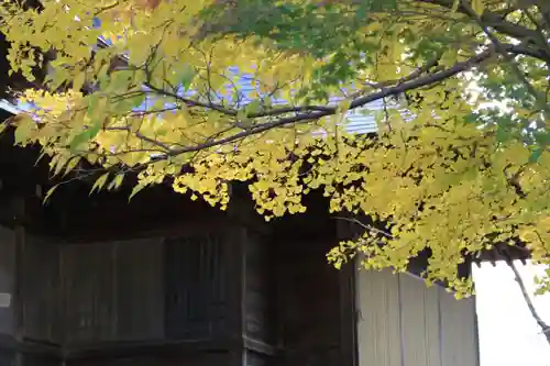 諏訪神社のその他建物