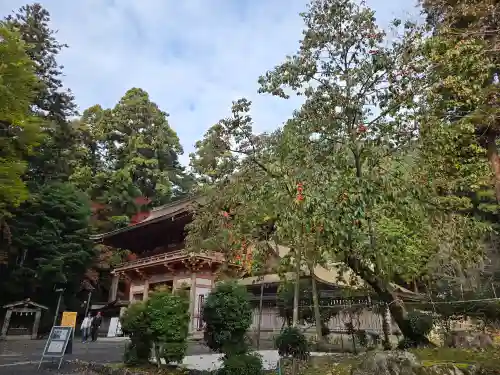 日吉大社(滋賀県)